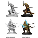 Picture of the Miniature: Githzerai - Wizkids Unpainted Deep Cuts