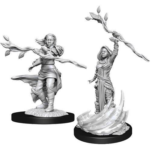 Human Druid Female