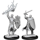Half-Elf Paladin Male