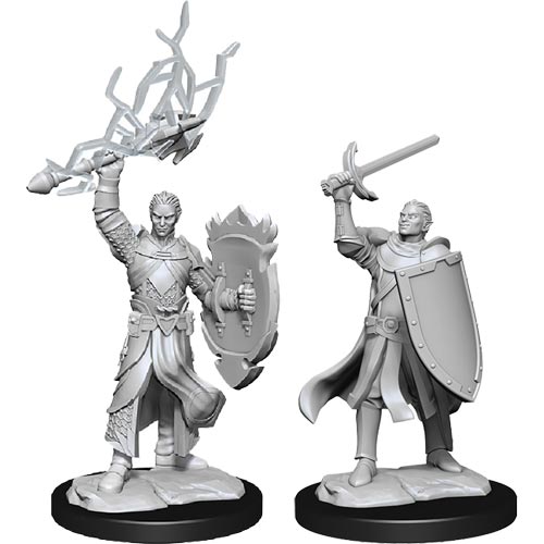 Half-Elf Paladin Male