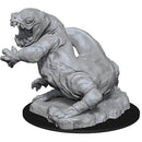 Frost Salamander