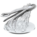 Juvenile Kraken