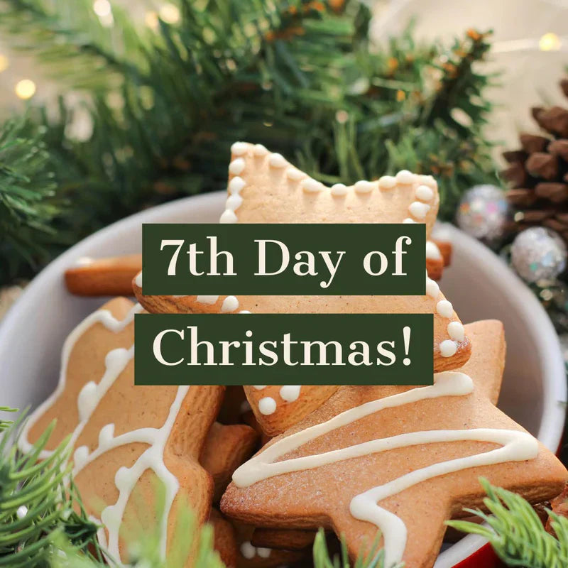 12 Days of Christmas, Day 7