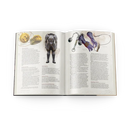 The Griffon's Saddlebag: Book Two - 5e D&D Magic Items (Hardcover)