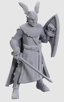 D&D Unpainted Minis: Elves 50th Anniversary
