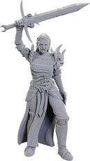 D&D Unpainted Minis: Blackguard - Wave 25