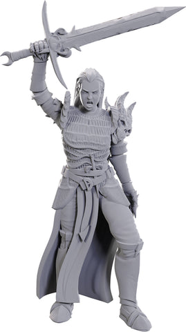 D&D Unpainted Minis: Blackguard - Wave 25
