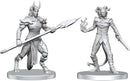 Pathfinder Unpainted Miniatures: Vordine (Infantry Devil) & Pitborn Rogue