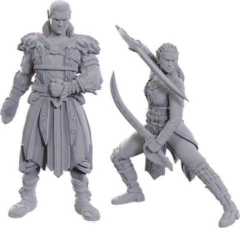 D&D Unpainted Minis: Jaheira & Halsin - Baldur's Gate 3