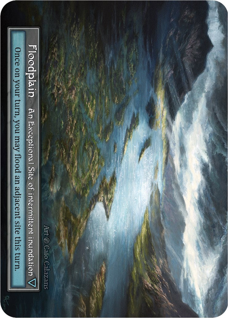 Floodplain (Foil)