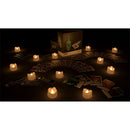 Werewolf in the Dark: Monster Box