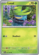 Lotad (005/094) [Mega Evolution: Phantasmal Flames]
