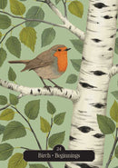 Kate Forsyth's Hedgewitch Oracle by Kate  Forsyth: Flashcards; 144 pages / English