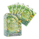 Hitpoint Press + Dragon Shield | Sleeves Art Matte - Gaea in Bloom