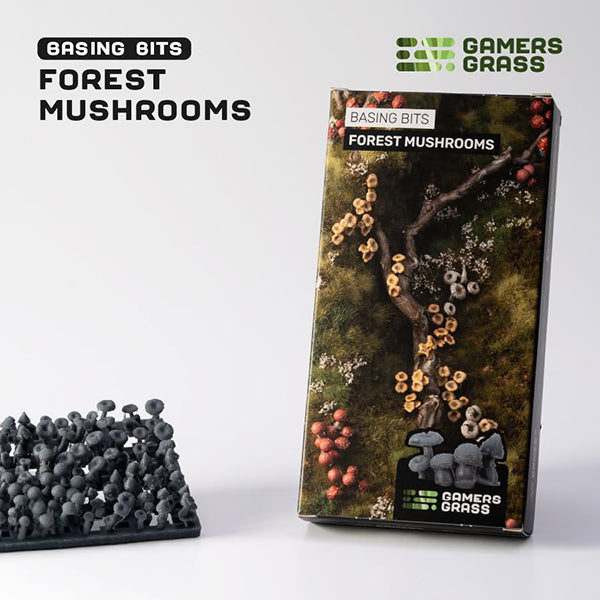 Basing Bits