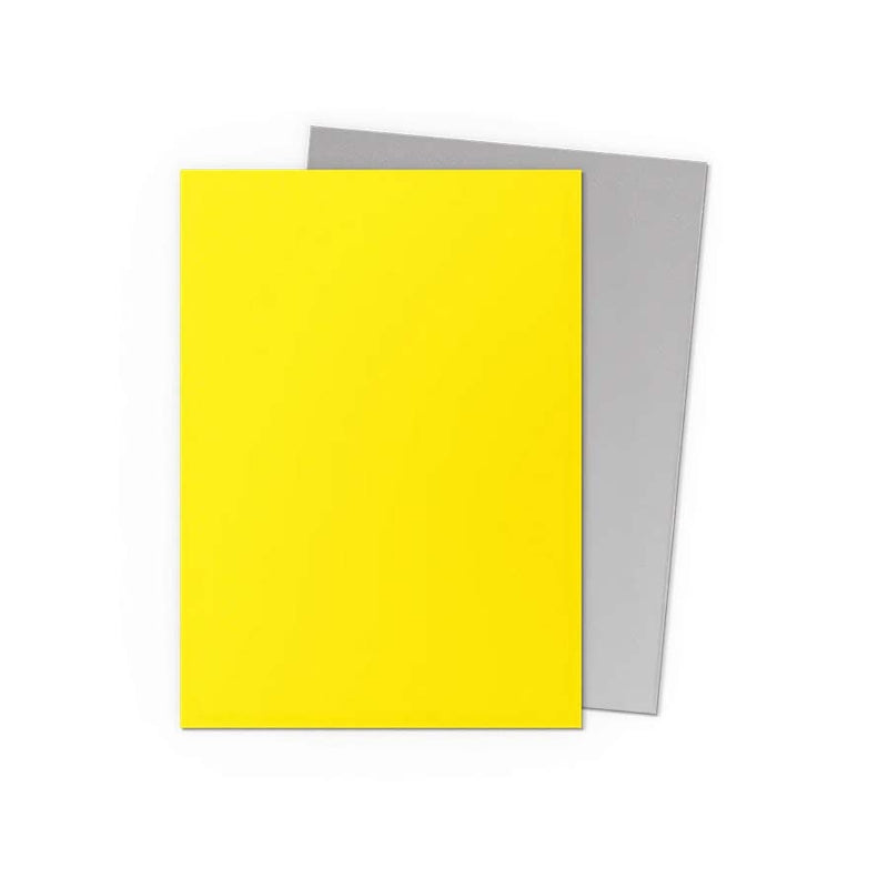 Dragon Shield Dual Matte: Yellow & Silver (100)