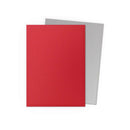 Dragon Shield Dual Matte: Crimson & Silver (100)