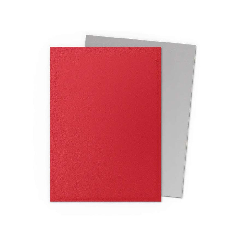 Dragon Shield Dual Matte: Crimson & Silver (100)