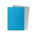 Dragon Shield Dual Matte: Sky Blue & Silver (100)