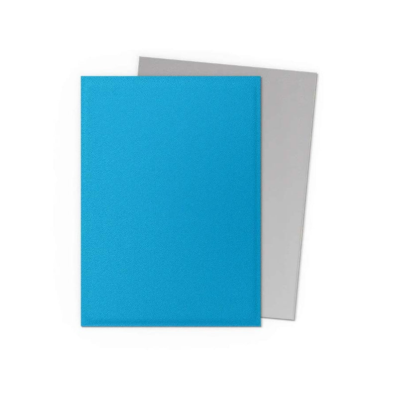 Dragon Shield Dual Matte: Sky Blue & Silver (100)