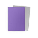 Dragon Shield Dual Matte: Nebula & Silver (100)