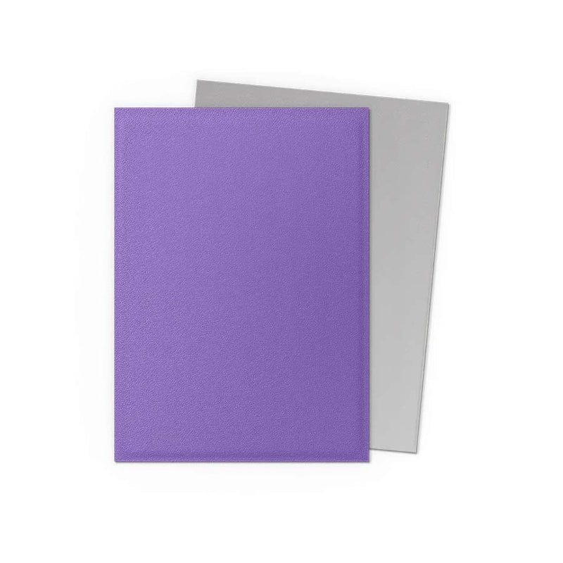 Dragon Shield Dual Matte: Nebula & Silver (100)