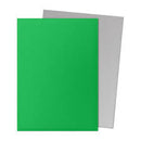 Dragon Shield Dual Matte: Apple Green & Silver (100)
