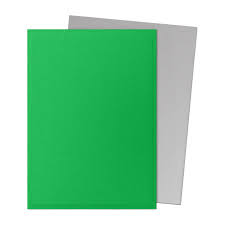 Dragon Shield Dual Matte: Apple Green & Silver (100)