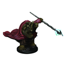 D&D Premium Minis: Premium Tortle Monk