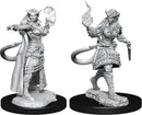 Tiefling Sorcerer Female v2
