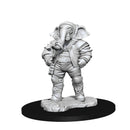 MTG Unpainted Minis: Qunitorius, Field Historian - Wave 03