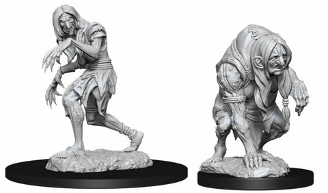 D&D Unpainted Minis: Annis Hag & Green Hag - Wave 14
