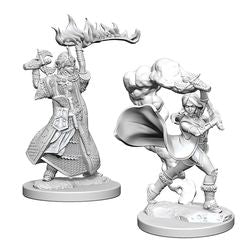 Picture of the Miniature: Human Cleric (Female) (2) - Wizkids Unpainted Deep Cuts