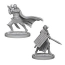 Picture of the Miniature: Elf Paladin (Male) - Wizkids Unpainted Deep Cuts