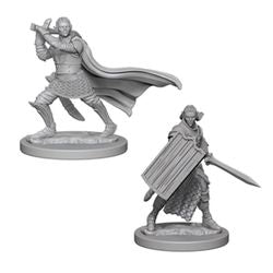 Picture of the Miniature: Elf Paladin (Male) - Wizkids Unpainted Deep Cuts