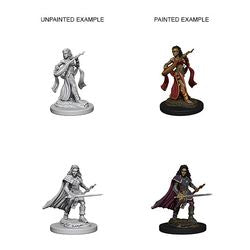 Picture of the Miniature: Human Bard (Female) - Wizkids Unpainted Deep Cuts