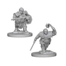 Picture of the Miniature: Dwarf Fighter (Female) - Wizkids Unpainted Deep Cuts