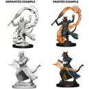Picture of the Miniature: Tiefling Sorcerer (Male) - Wizkids Unpainted Deep Cuts