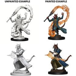 Picture of the Miniature: Tiefling Sorcerer (Male) - Wizkids Unpainted Deep Cuts