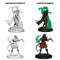 Picture of the Miniature: Tiefling Sorcerer (Female) - Wizkids Unpainted Deep Cuts