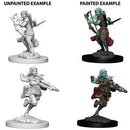 Picture of the Miniature: Genasi, Air Genasi Rogue (Female) - Wizkids Unpainted Deep Cuts