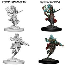 Picture of the Miniature: Genasi, Air Genasi Rogue (Female) - Wizkids Unpainted Deep Cuts