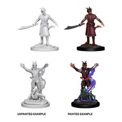 Picture of the Miniature: Tiefling Warlock. (Male) - Wizkids Unpainted Deep Cuts