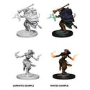 Picture of the Miniature: Tiefling Warlock (Female) - Wizkids Unpainted Deep Cuts