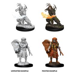 Picture of the Miniature: Human Druid (Male) (2) - Wizkids Unpainted Deep Cuts