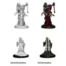 Picture of the Miniature: Green Hag & Night Hag - Wizkids Unpainted Deep Cuts