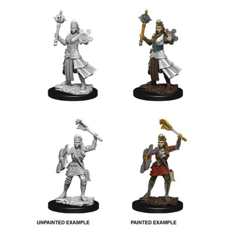 Picture of the Miniature: Human Cleric (Female) - Wizkids Unpainted Deep Cuts