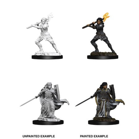 Picture of the Miniature: Human Paladin (Female) - Wizkids Unpainted Deep Cuts