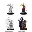 Picture of the Miniature: Human Warlock (Female) - Wizkids Unpainted Deep Cuts