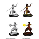 Picture of the Miniature: Half-Elf Monk (Female) - Wizkids Unpainted Deep Cuts